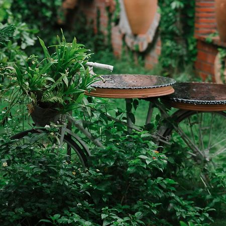 Mekong Pottery Homestay, Green-Friendly & Boat Tour Виньлонг Экстерьер фото