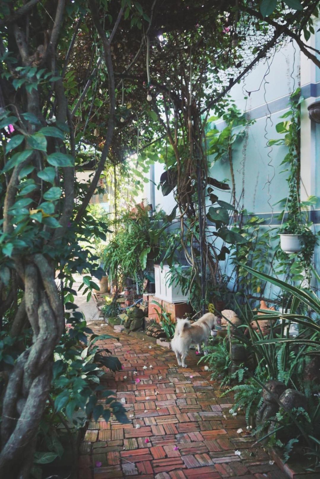 Mekong Pottery Homestay, Green-Friendly & Boat Tour Виньлонг Экстерьер фото