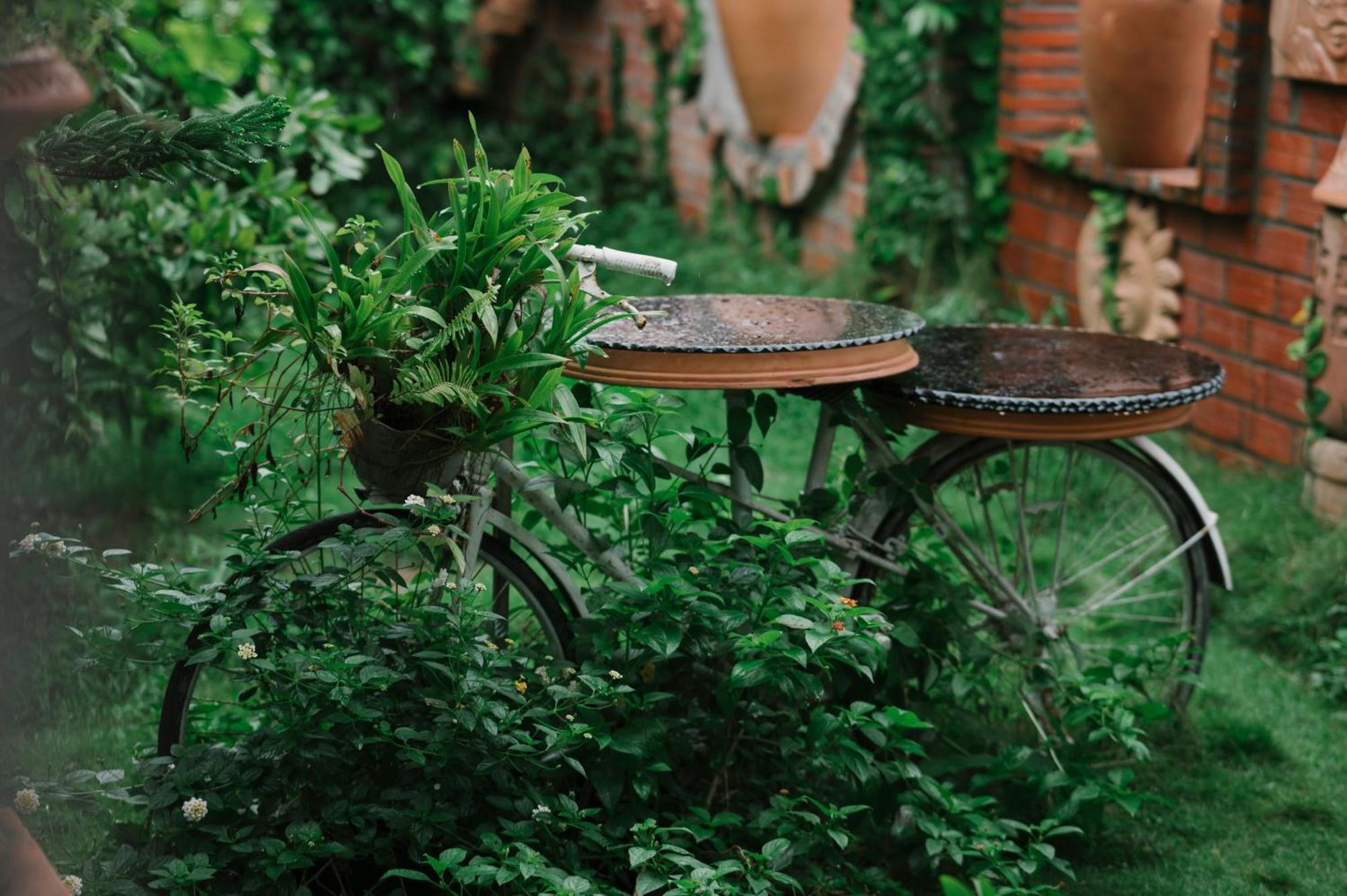 Mekong Pottery Homestay, Green-Friendly & Boat Tour Виньлонг Экстерьер фото